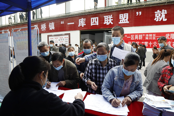 求職者登記信息。代娟攝