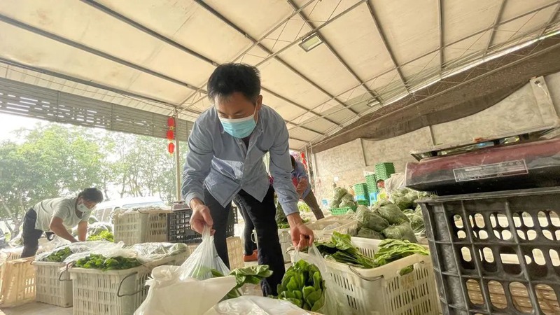 方仕勇在分裝蔬菜。重慶高新區供圖