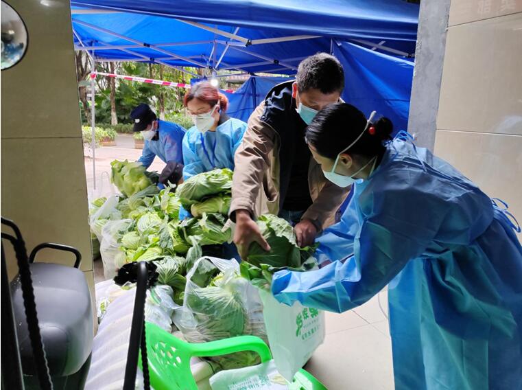 巴渝民宿集團所屬渝地物業公司七季城項目工作人員聯系蔬菜供應商為業主提供2噸白菜，做好生活物資保障。渝地物業供圖