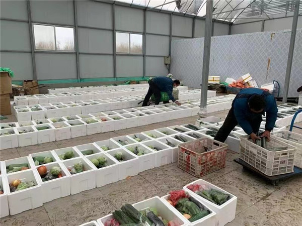 工作人員正在進行蔬菜分揀。京東供圖