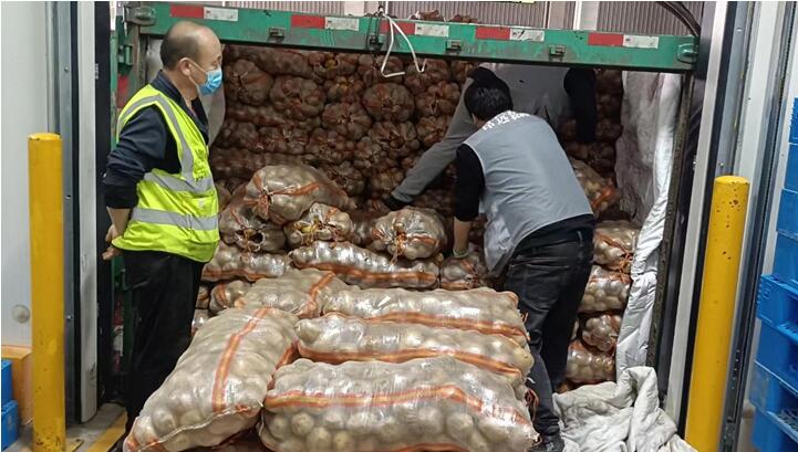 “村村旺”供應的土豆正在卸貨。村村旺供圖