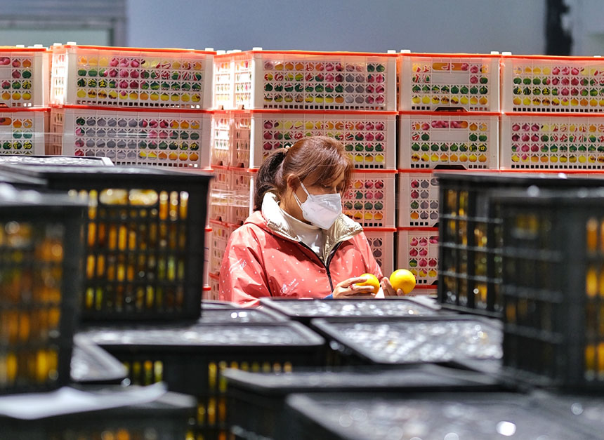 深夜，一生鮮超市內，工作人員正在抓緊清點剛到的蔬菜水果。郭旭攝