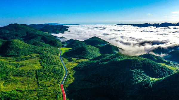 菖蒲-花田景區。酉陽旅投供圖