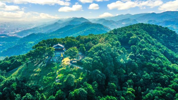 城市“肺葉”中梁山。九龍坡區委宣傳部供圖