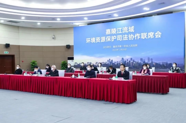 嘉陵江流域環境資源保護司法協作聯席會現場。重慶一中法院供圖