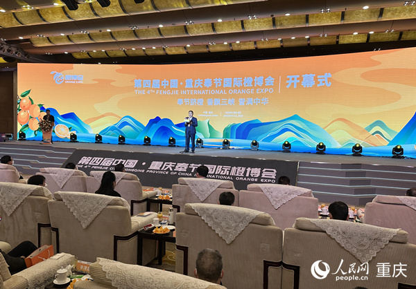 開幕式現場。人民網 劉政寧攝