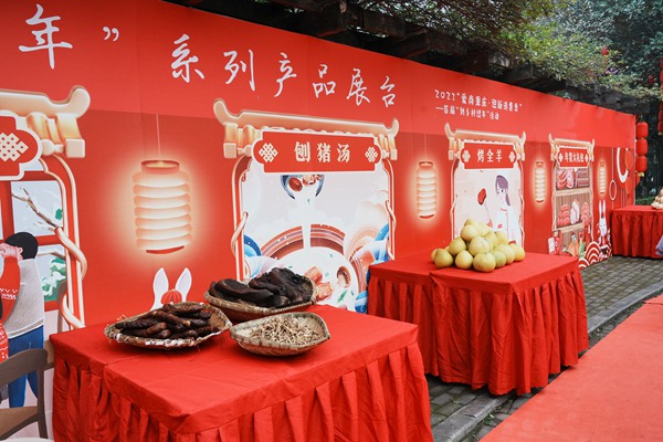 活動現場。主辦方供圖