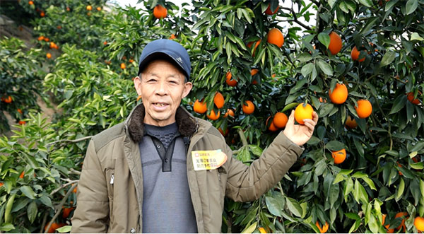品浪優選合作果農。大龍網供圖