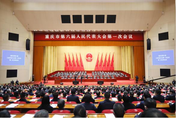 重慶去年1285件建議全部答復代表