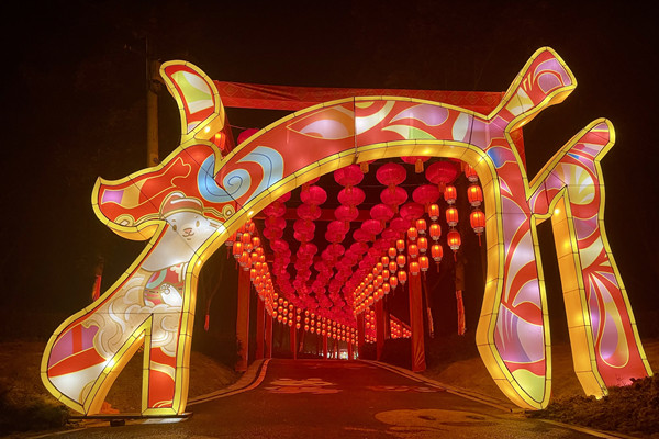 去梁平品民俗賞花燈。梁平區委宣傳部供圖