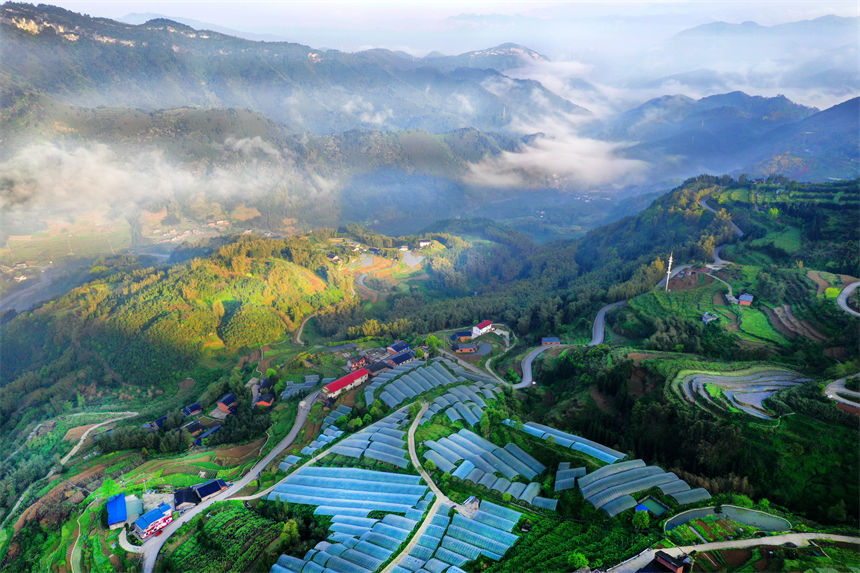 俯瞰重慶萬盛經開區黑山鎮南門村大棚獼猴桃、瓜果基地。 曹永龍攝