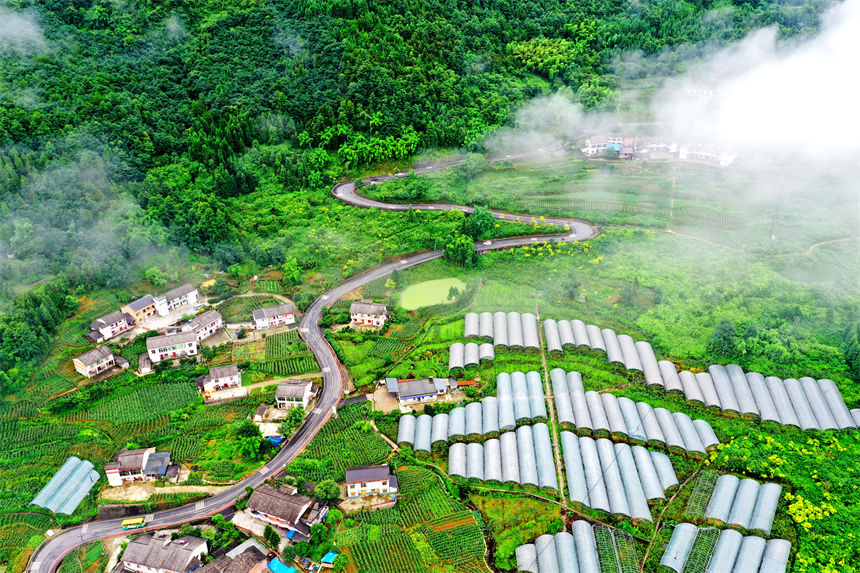 俯瞰重慶萬盛經開區黑山鎮南門村大棚獼猴桃、瓜果基地。曹永龍攝