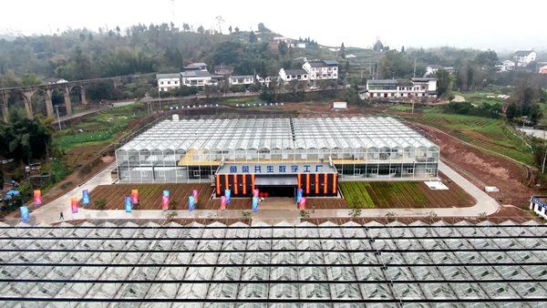 魚菜共生安數字工廠。熊偉攝