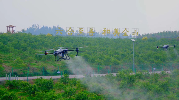 無人機在作業中。大足區委宣傳部供圖