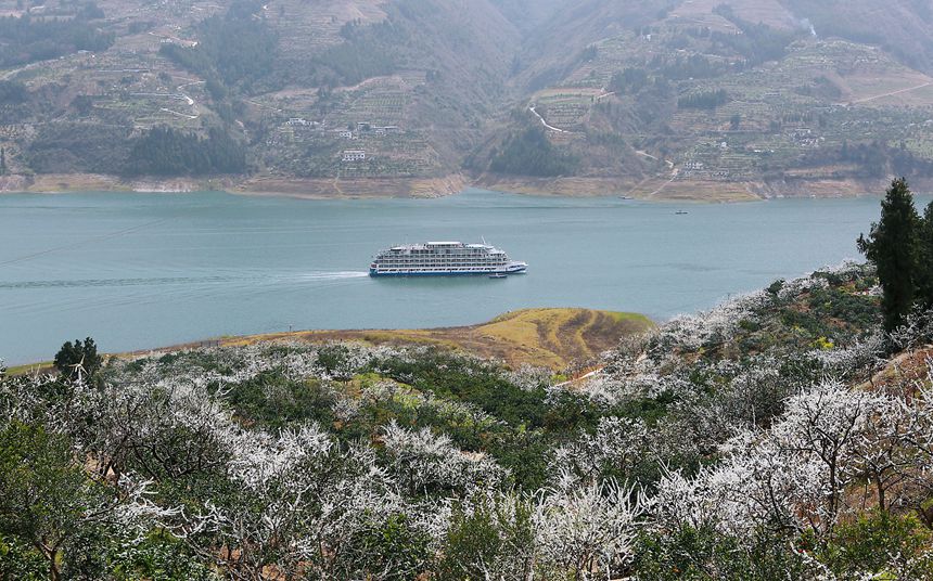 長江豪華游輪行駛在重慶市巫山縣曲尺鄉境內。盧先慶攝