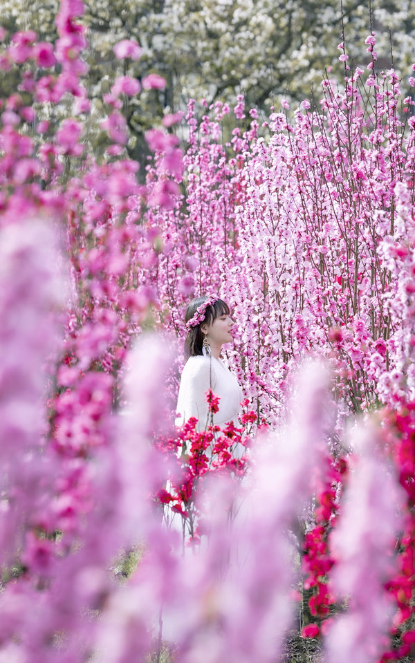 游客在花海中游玩。汪新攝