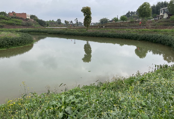 現今的大陸溪河水清澈。實習生越倚航攝