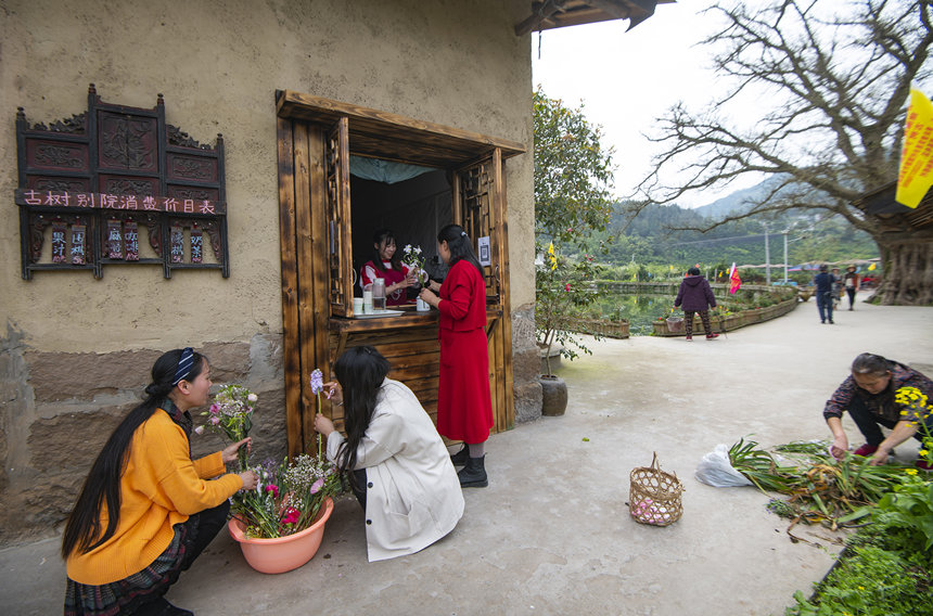 古樹咖啡。冉孟軍攝