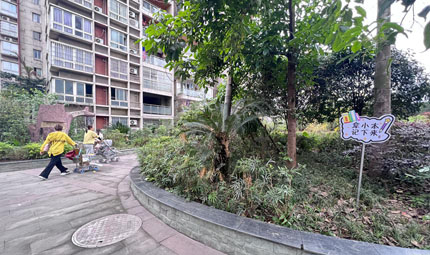                                           重慶璧山：黨建統領小區"自治" 疏通基層"神經末梢"                            胡虹 2023年04月25日                              小區是基層的“神經末梢”，城市治理的“最后一公里”。社區服務的“最后一百米”也在居民小區?！?6棟前的大樹長到家里面了，希望能夠及時修枝?！薄斑\動廣場周邊可以加裝圍欄，讓乒乓球和羽毛球不掉落外面?！薄捌邨澩鈮εK污嚴重，影響人居環境，建議清理?！?#13;                【詳細】                           