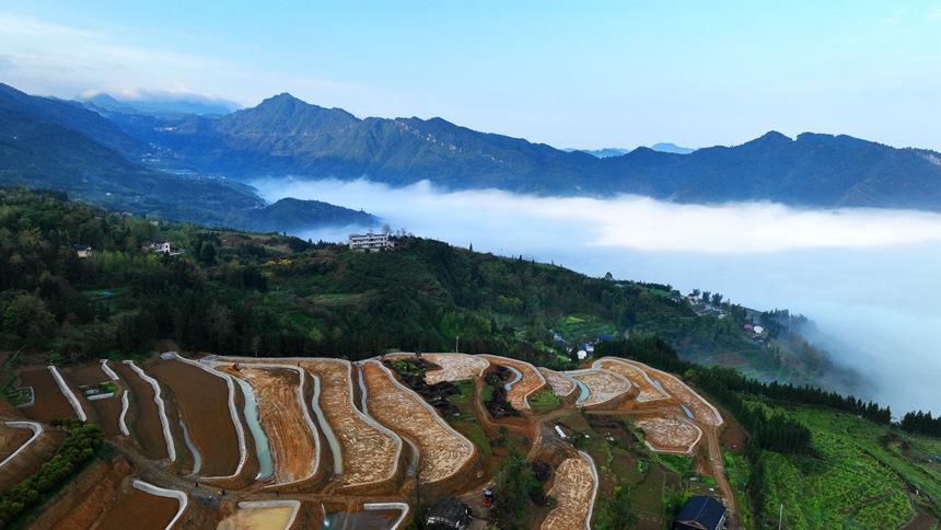 新修復墾的梯田與青山綠野相映成趣。曹永龍攝