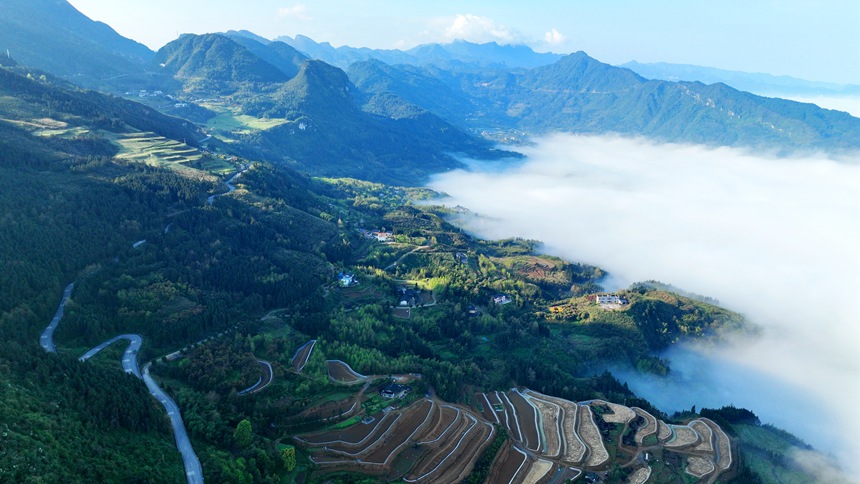 新修復墾的梯田與青山綠野相映成趣。曹永龍攝