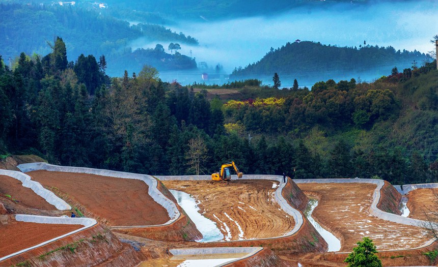 新修復墾的梯田與青山綠野相映成趣。曹永龍攝