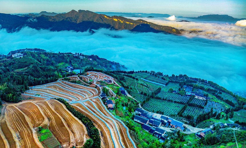 新修復墾的梯田與青山綠野相映成趣。曹永龍攝