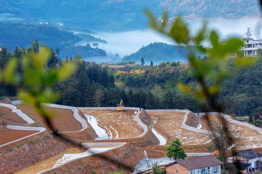 新修復墾的梯田與青山綠野相映成趣。曹永龍攝