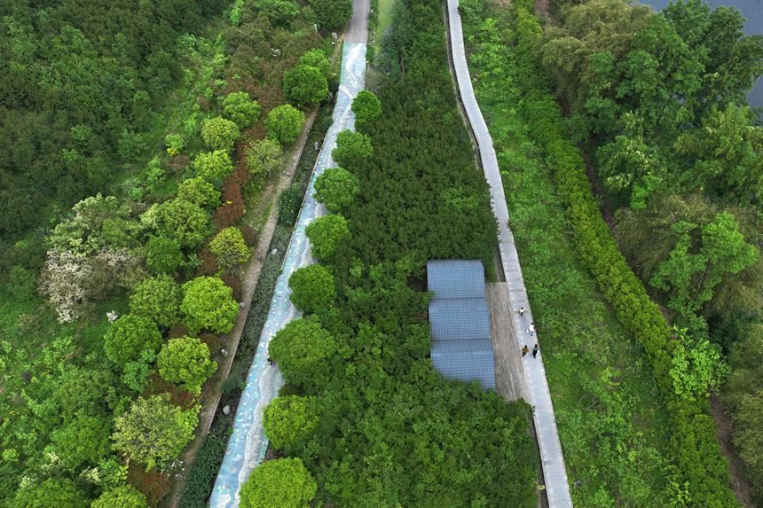 阿蓬江國家濕地公園。楊敏攝