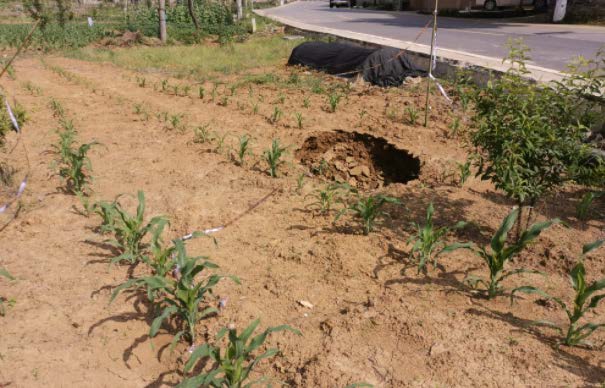 沙坪壩區中梁鎮龍泉村地面塌陷全景圖