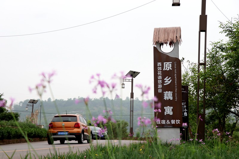 小院打造的民宿吸引游客前往玩耍。胥世鵬