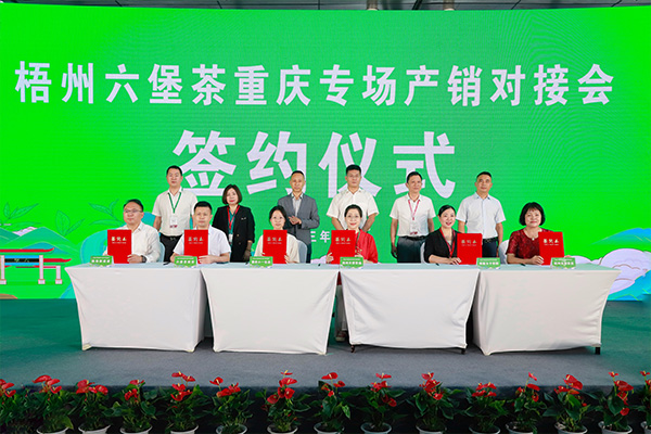 簽約現場。向詩佳攝