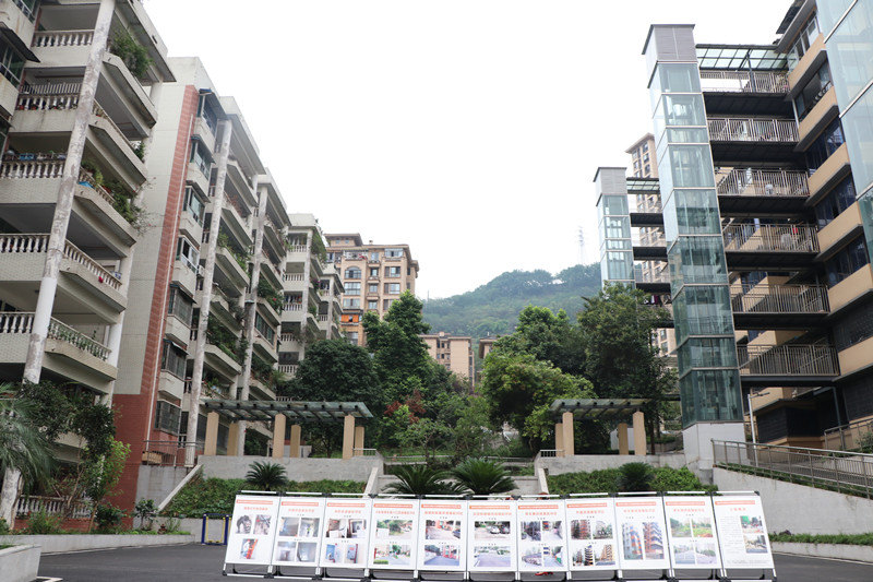 改造后的果研所家屬院小區。胥世鵬攝