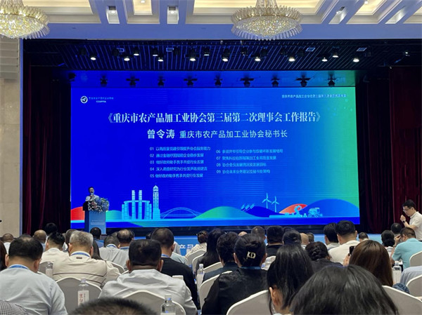 活動現場。馬春鵬攝