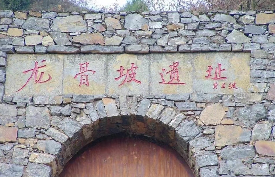 龍骨坡遺址（資料圖）。巫山縣委宣傳部供圖