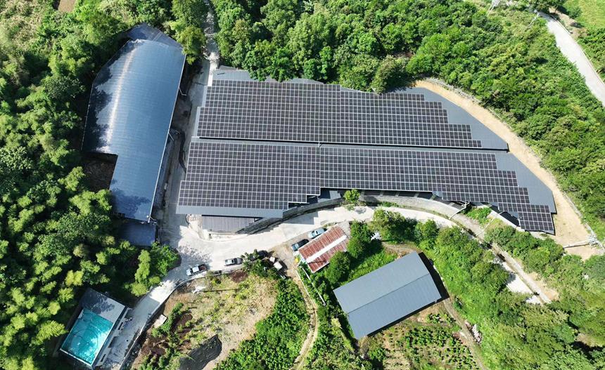 黔江區白石鎮鞍山村光伏養牛場。楊敏攝