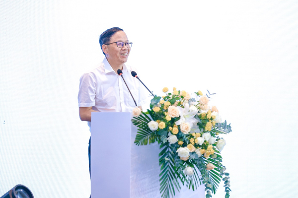 國際系統與控制科學院院士、重慶國家應用數學中心主任楊新民在金融大模型發展論壇上做主題演講。馬上消費供圖