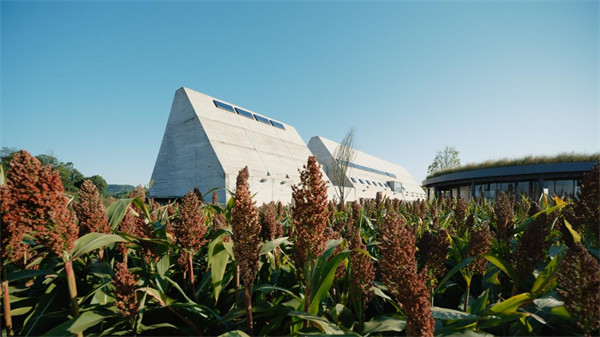 大地藝術館。主辦方供圖