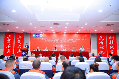 開班儀式現場。主辦方供圖