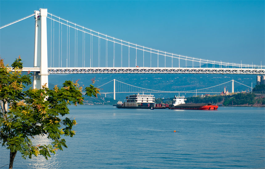 隨著長江萬州段水位上漲，庫岸落差縮小，港口的貨物運輸更加便捷。侯本艷攝