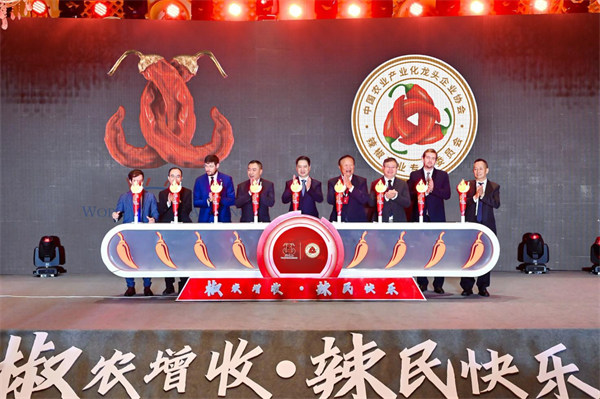 活動現場。主辦方供圖