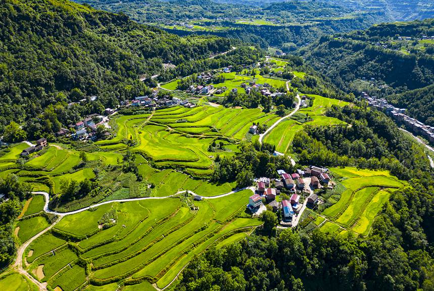 盛夏時節萬州恒合土家族鄉高標準農田綠意盎然。冉孟軍攝