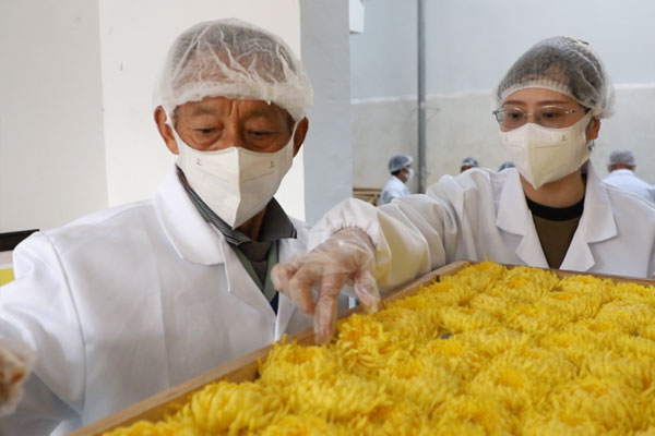 重慶市璧山區中醫院藥劑科人員錢雪梅（右一）在加工烘烤現場。重慶市璧山區中醫院供圖