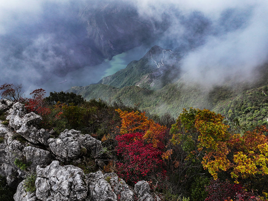 巫峽岸邊的紅葉。王正坤攝