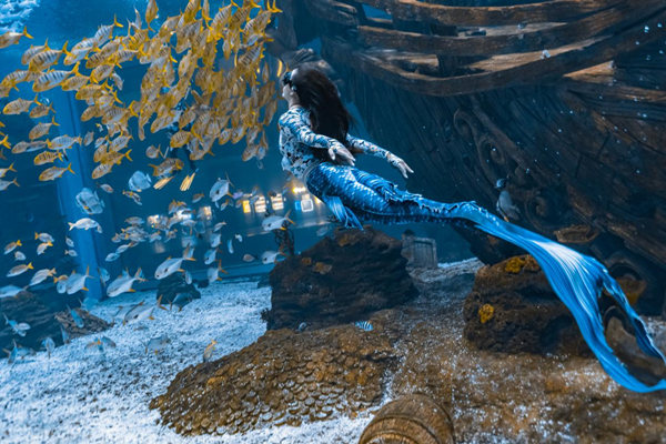 比賽現場圖。主辦方供圖