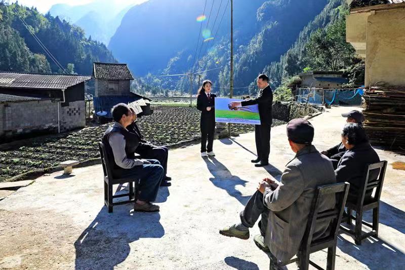 法官向村民展示白冠長尾雉圖片。邊俊銘攝