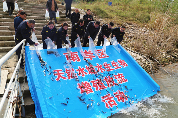 南岸區增殖放流魚苗19萬尾。唐文蕤攝