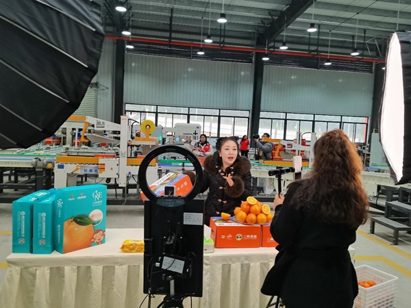在集散處理中心開設線上直播，拓寬銷路。孫啟凡攝