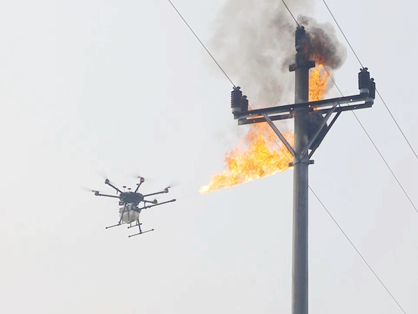 無人機處理電線桿上的馬蜂窩。國網重慶永川供電公司供圖