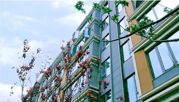 交付現場。中誠兩江印供圖